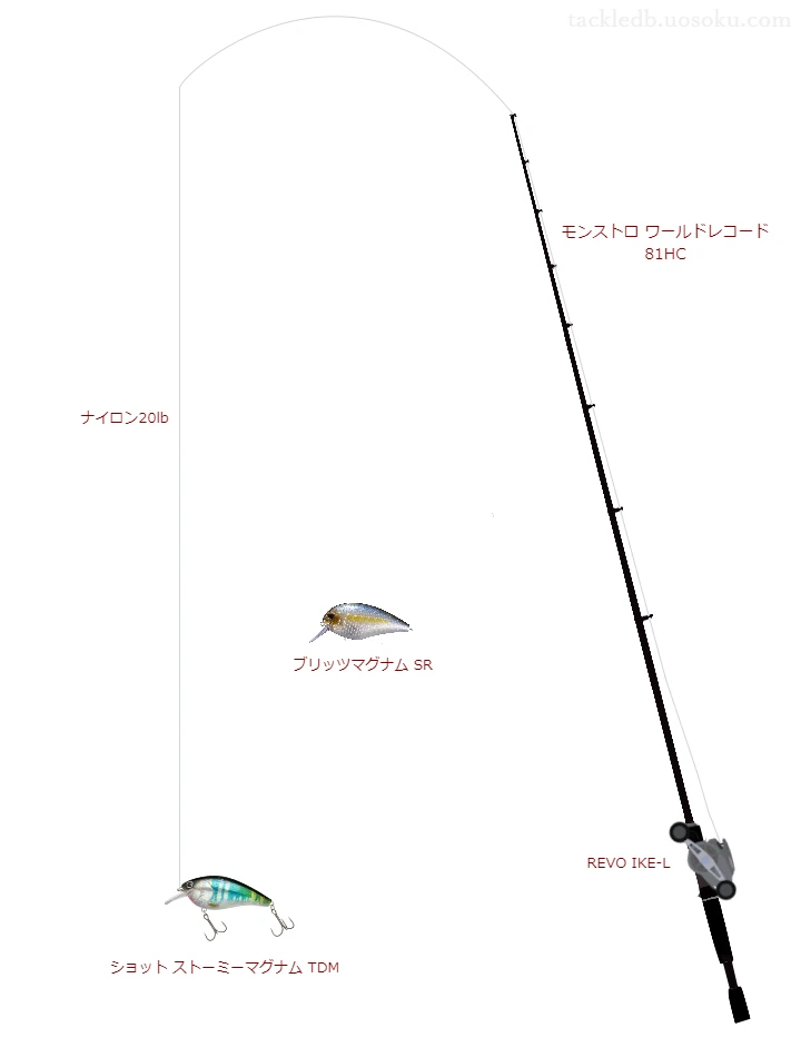 バス釣りに関するタックル、仕掛け図解