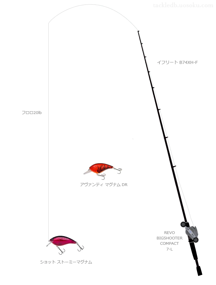 バス釣りに関するタックル、仕掛け図解