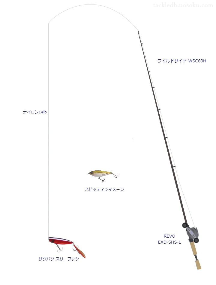 ザグバグ スリーフックにおすすめのベイトタックル【ワイルドサイド WSC63H】