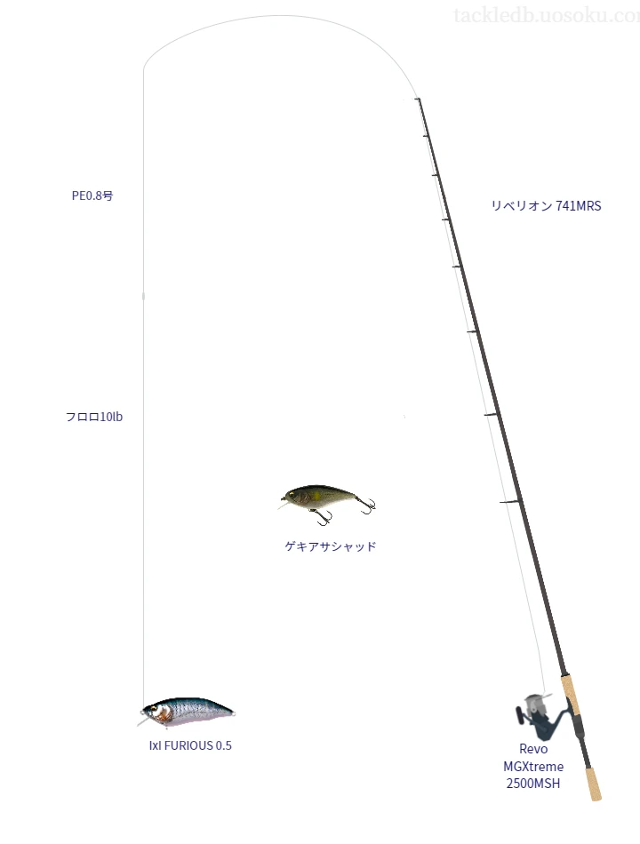 バス釣りに関するタックル、仕掛け図解