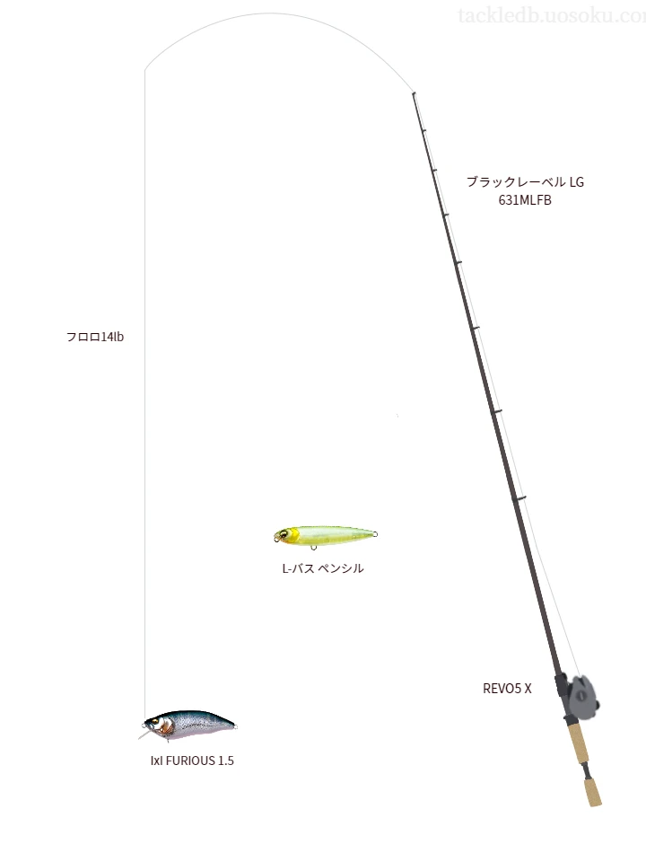 バス釣りに関するタックル、仕掛け図解