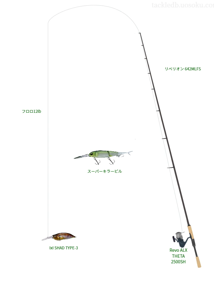 バス釣りに関するタックル、仕掛け図解