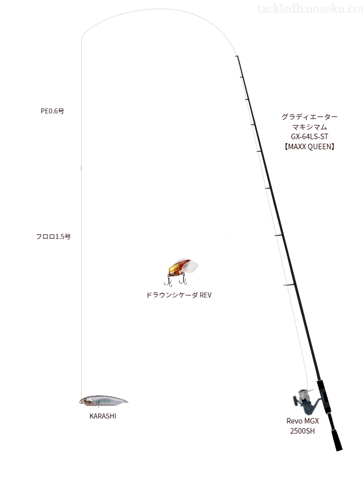 バス釣りに関するタックル、仕掛け図解