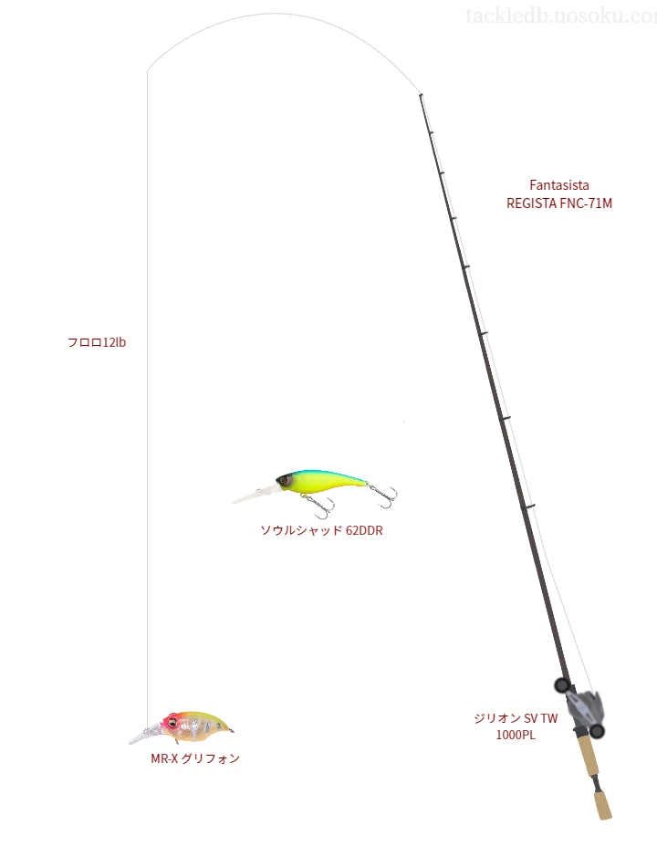 バス釣りに関するタックル、仕掛け図解