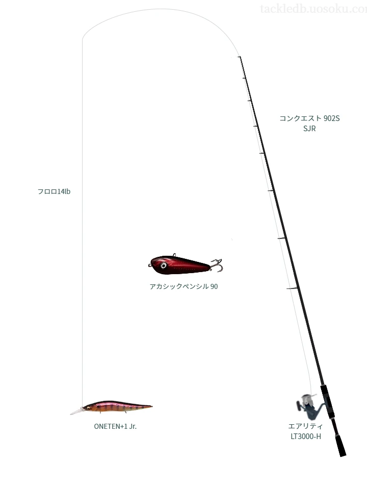 バス釣りに関するタックル、仕掛け図解