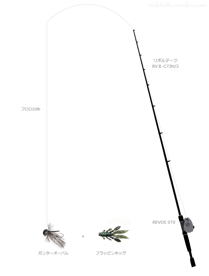 バス釣りに関するタックル、仕掛け図解