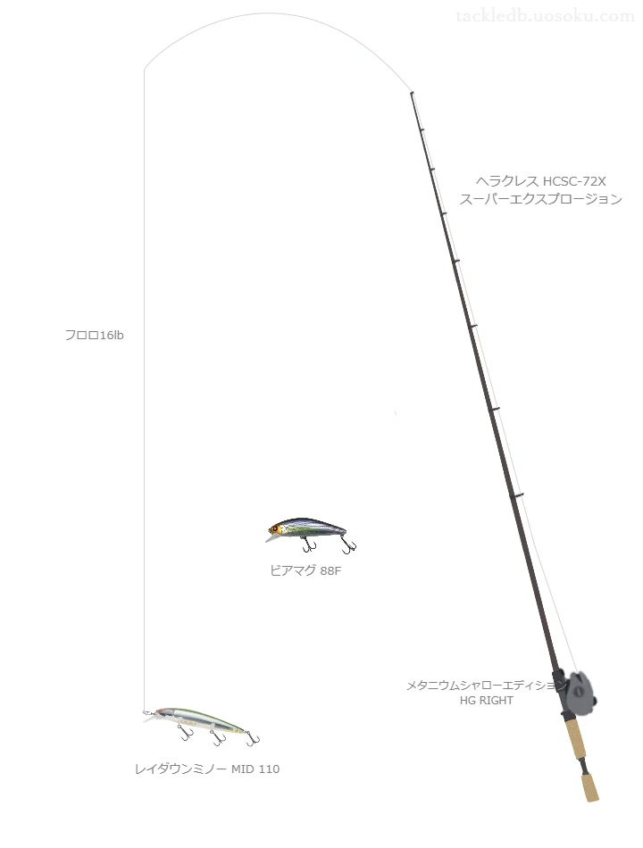 バス釣りに関するタックル、仕掛け図解