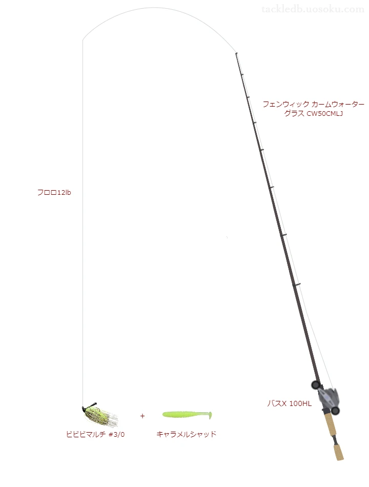 バス-X フロロ 12lbを カームウォーター グラス CW50CMLJと使用したベイトタックル【仮想インプレ】