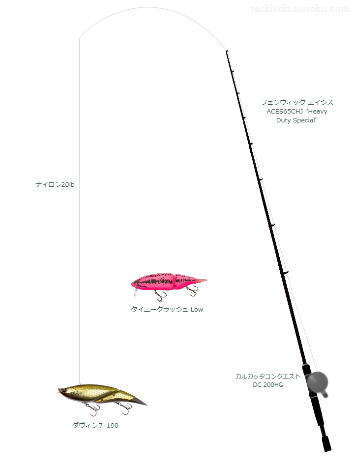 バス釣りに関するタックル、仕掛け図解