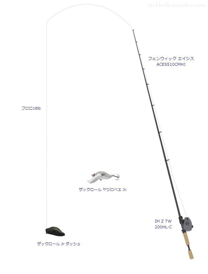 バス釣りに関するタックル、仕掛け図解