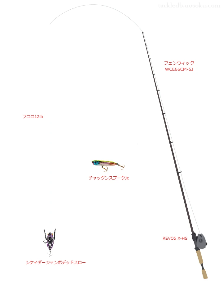 バス釣りに関するタックル、仕掛け図解