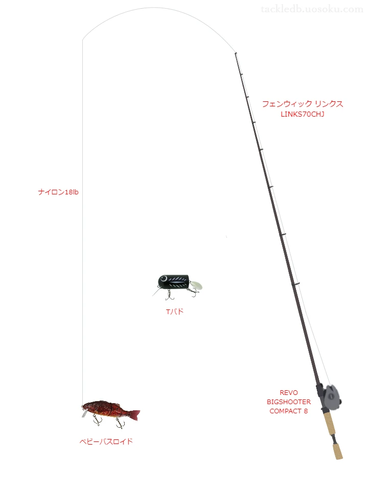 バス釣りに関するタックル、仕掛け図解