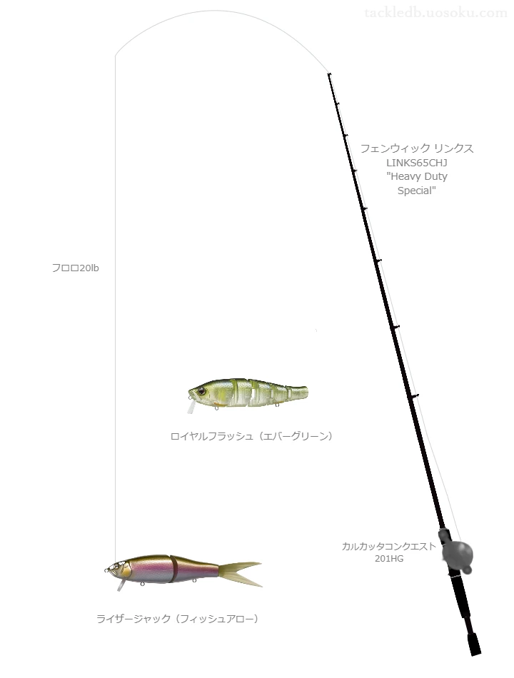 バス釣りに関するタックル、仕掛け図解