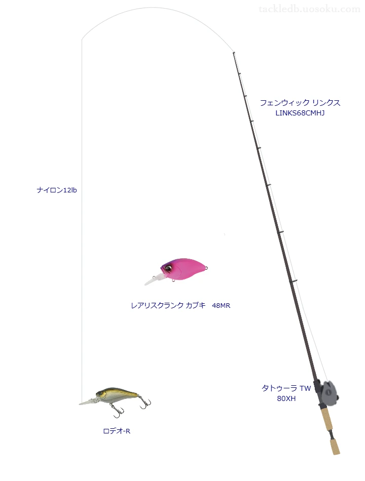 バス釣りに関するタックル、仕掛け図解