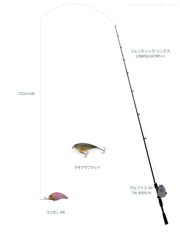 バス釣りに関するタックル、仕掛け図解