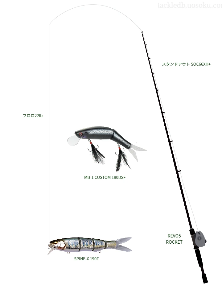 バス釣りに関するタックル、仕掛け図解