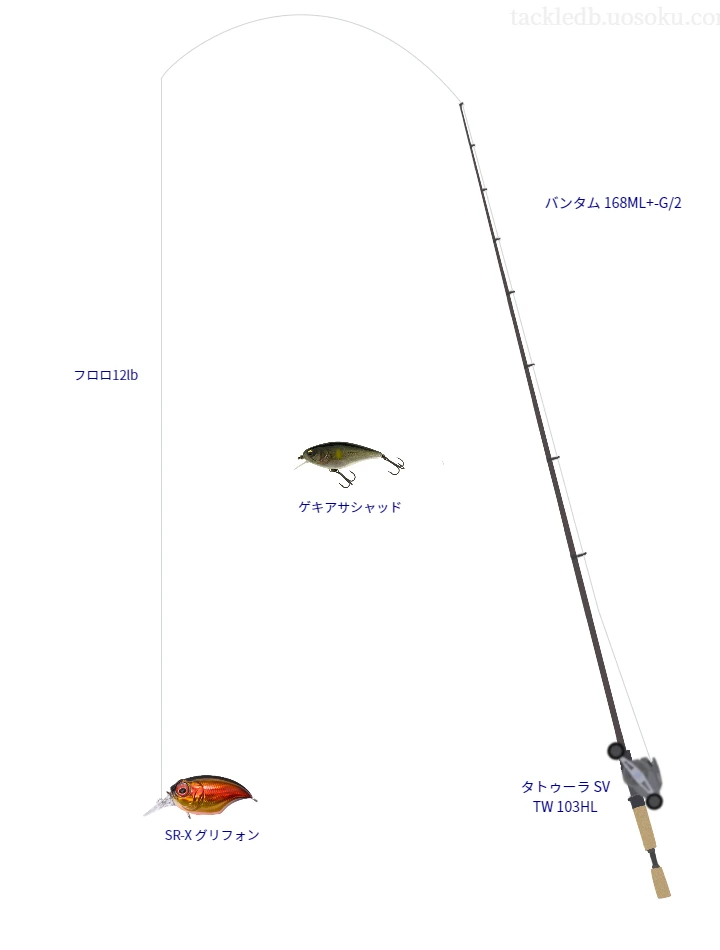 バス釣りに関するタックル、仕掛け図解