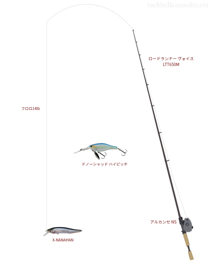 バス釣りに関するタックル、仕掛け図解