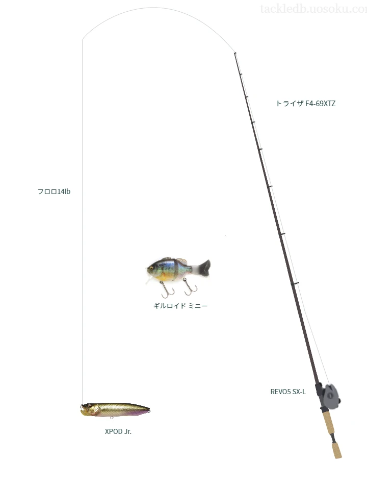 バス釣りに関するタックル、仕掛け図解