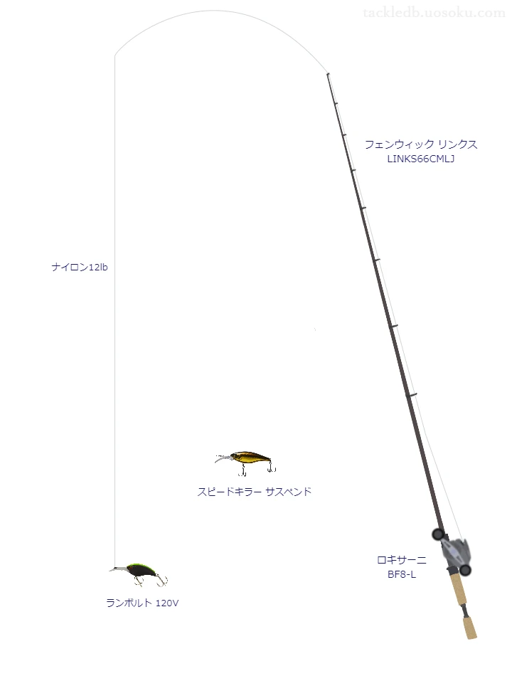  リンクス LINKS66CMLJとロキサーニ BF8-Lによる中価格帯バス釣りタックル【仮想インプレ】