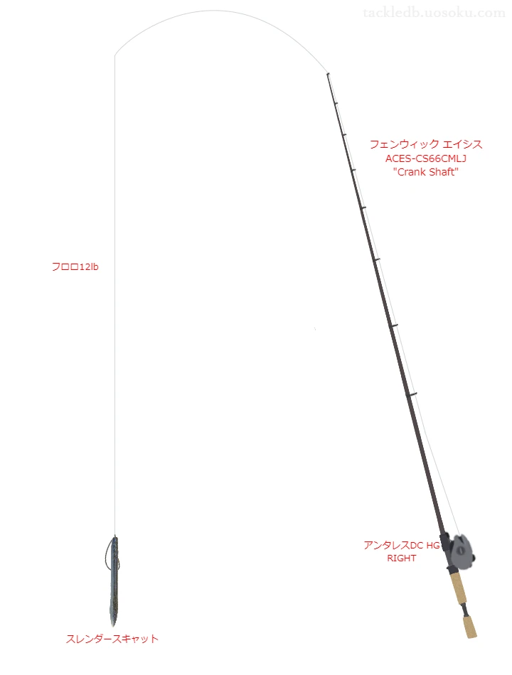 ビッグバス フロロ 12lbを エイシス ACES-CS66CMLJ と使用したベイトタックル【仮想インプレ】