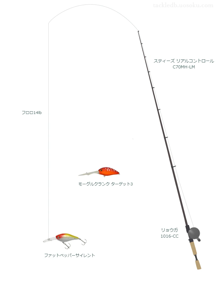 【安濃ダム】ファットペッパーサイレントのためのバス釣りタックル【 スティーズ リアルコントロール C70MH-LM】