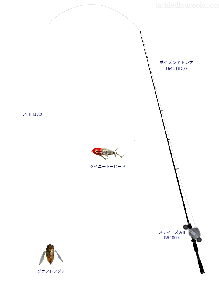 バス釣りに関するタックル、仕掛け図解