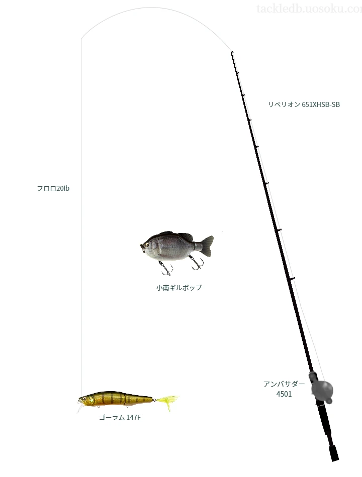 バス釣りに関するタックル、仕掛け図解