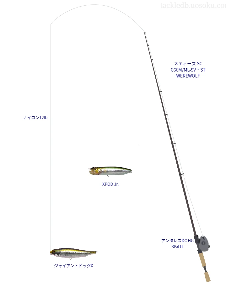 バス釣りに関するタックル、仕掛け図解