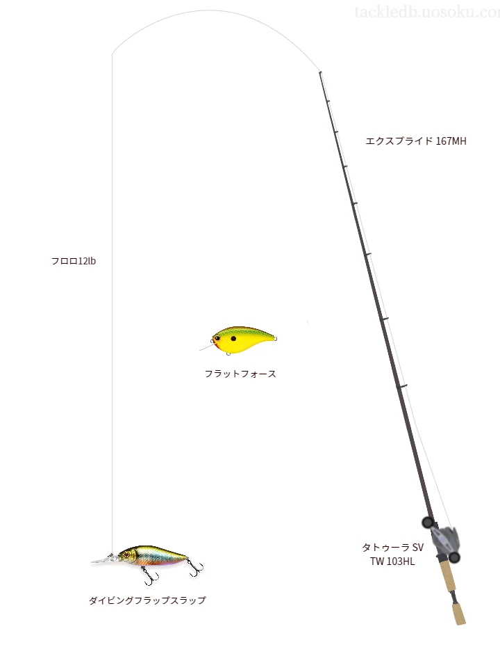 バス釣りに関するタックル、仕掛け図解