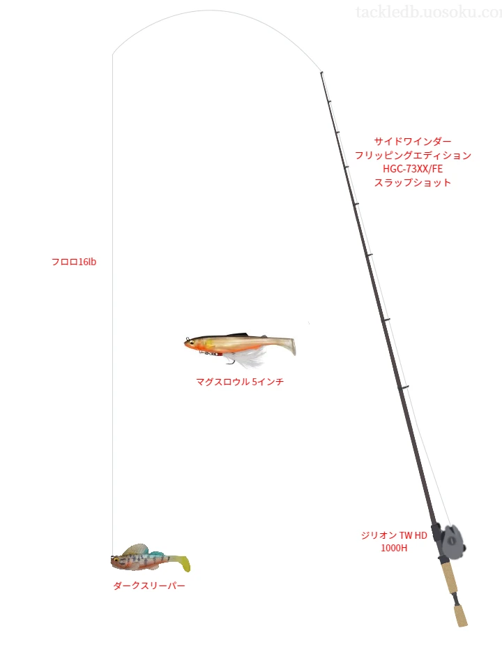 バス釣りに関するタックル、仕掛け図解