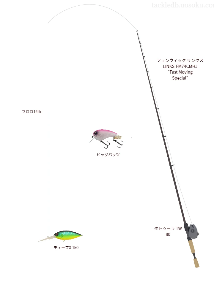 バス釣りに関するタックル、仕掛け図解