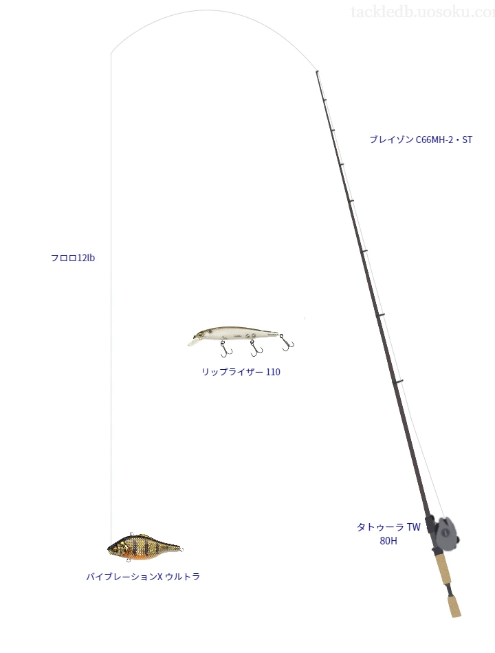 バス釣りに関するタックル、仕掛け図解