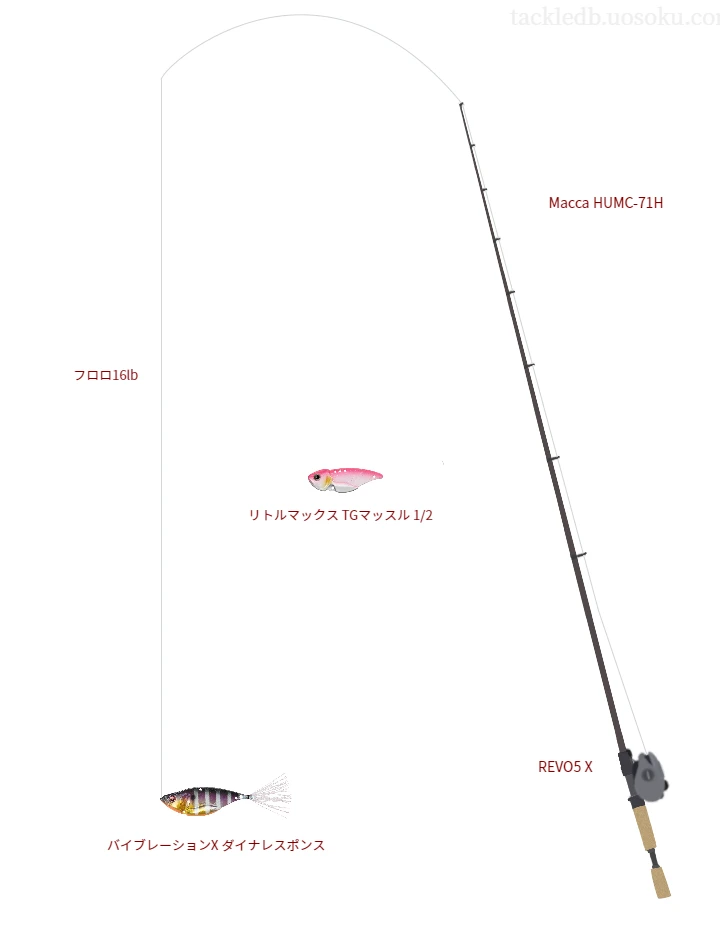 バス釣りに関するタックル、仕掛け図解