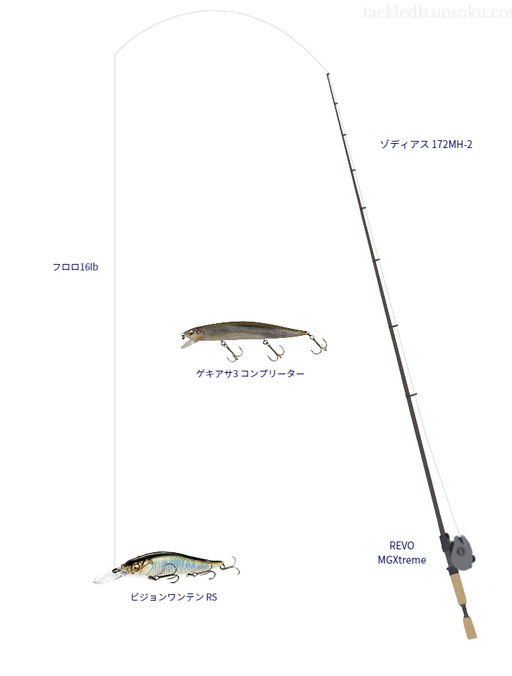 バス釣りに関するタックル、仕掛け図解