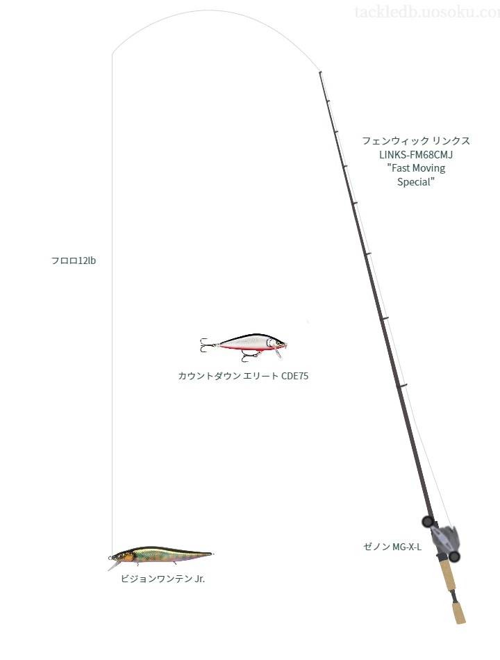 バス釣りに関するタックル、仕掛け図解