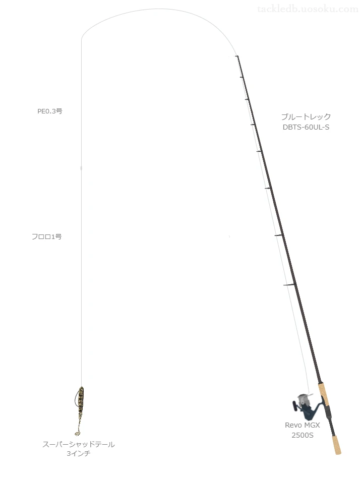 バス釣りに関するタックル、仕掛け図解