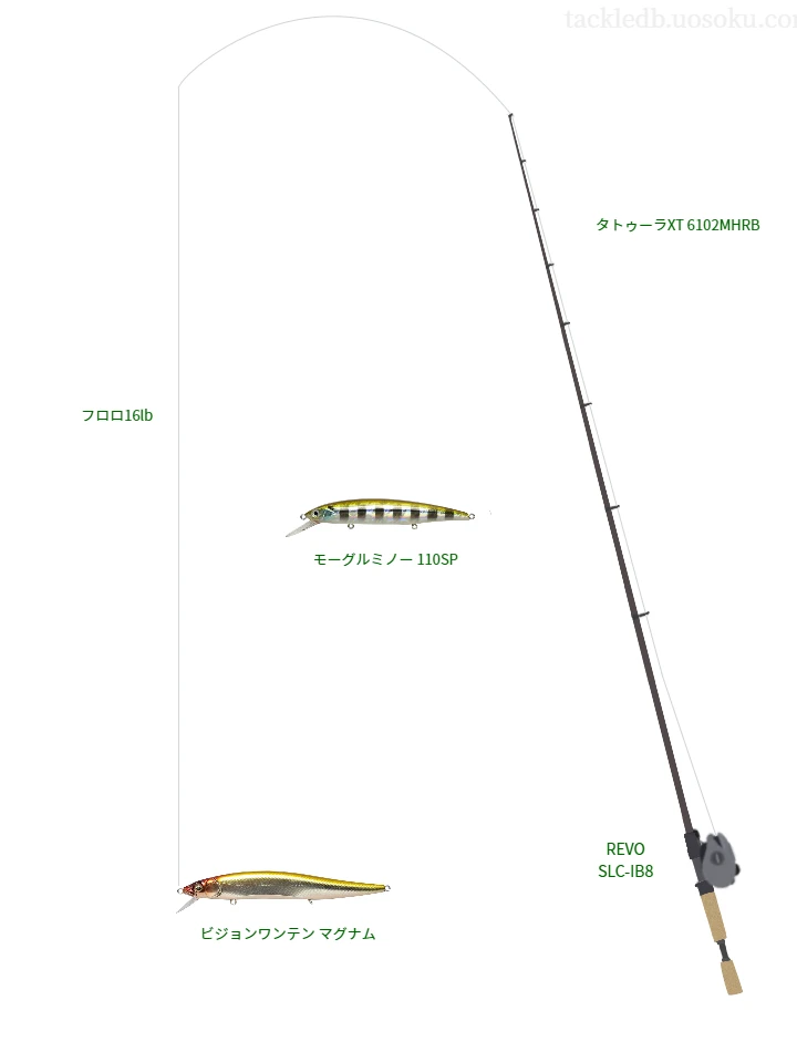 バス釣りに関するタックル、仕掛け図解