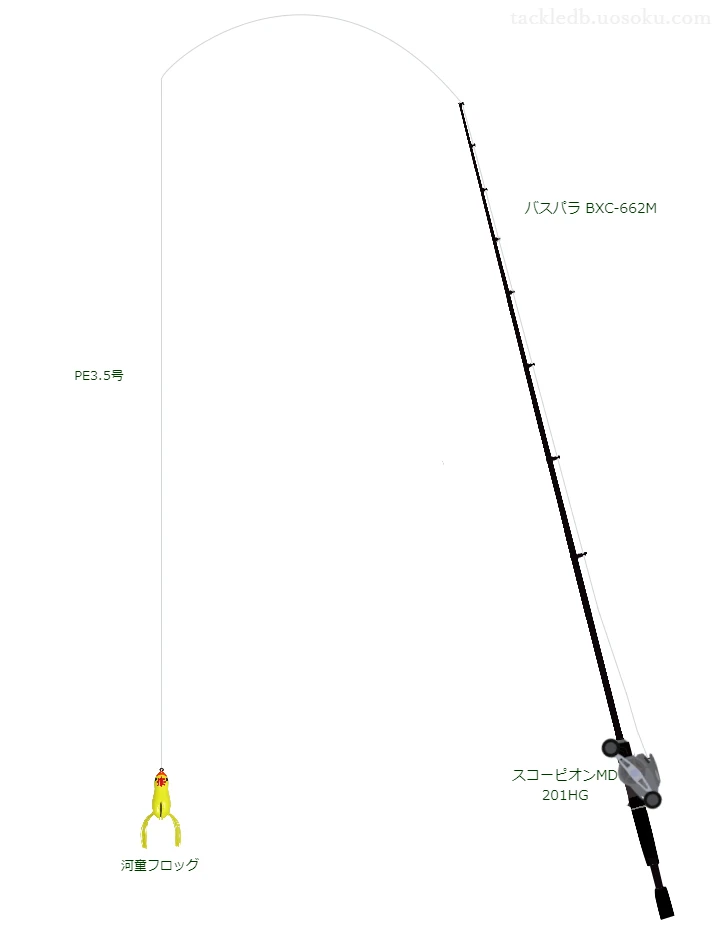 バス釣りに関するタックル、仕掛け図解