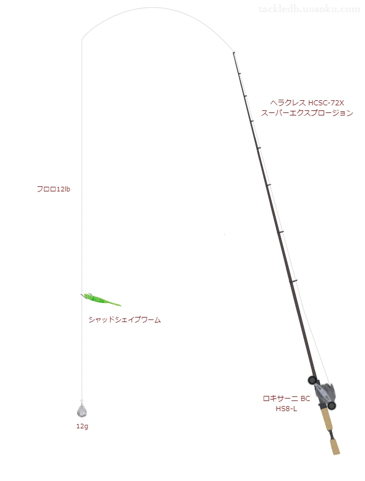 バス釣りに関するタックル、仕掛け図解