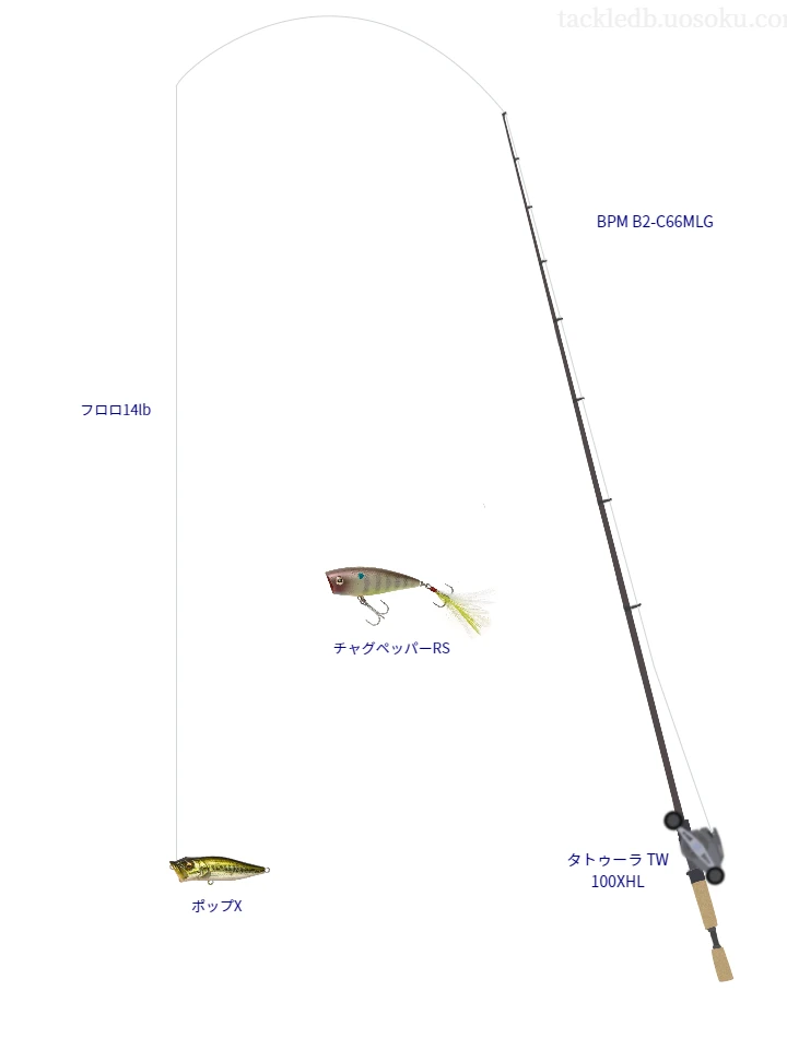 バス釣りに関するタックル、仕掛け図解