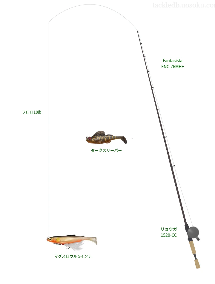 バス釣りに関するタックル、仕掛け図解