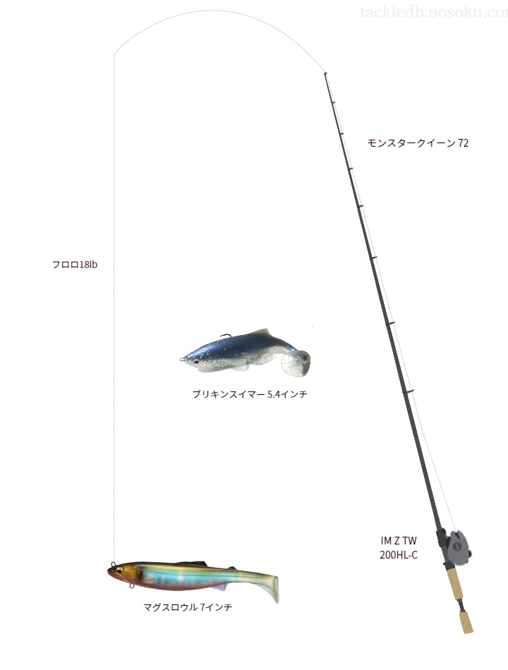 バス釣りに関するタックル、仕掛け図解