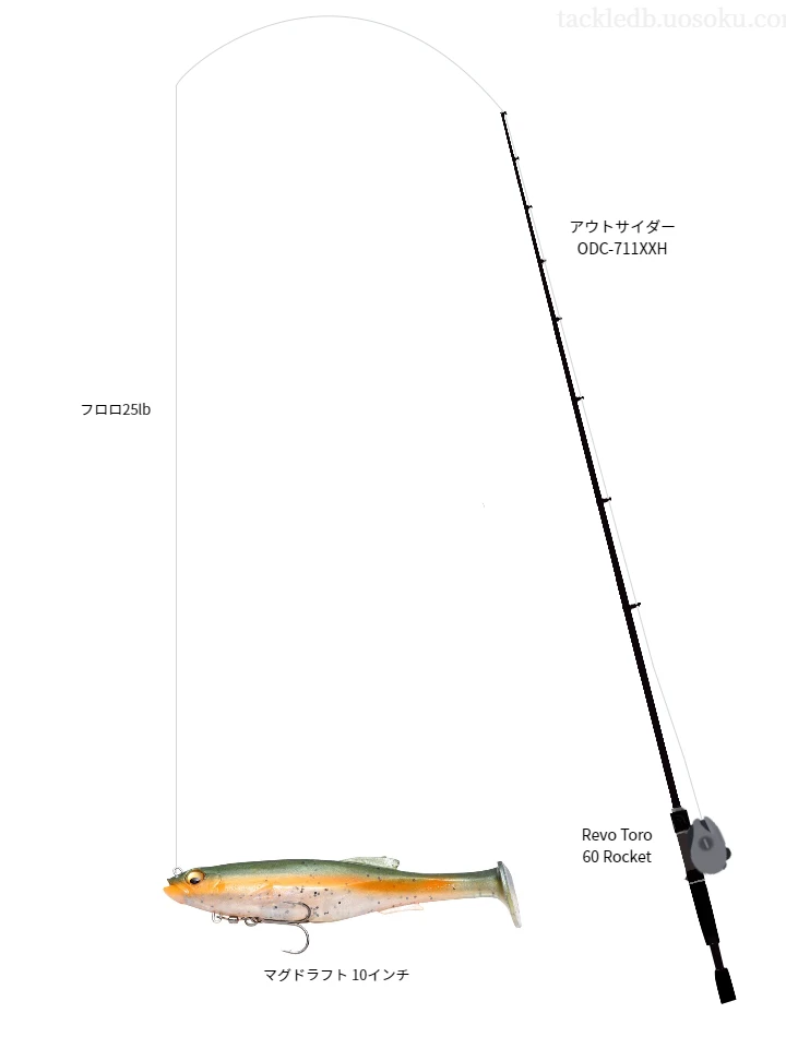 バス釣りに関するタックル、仕掛け図解