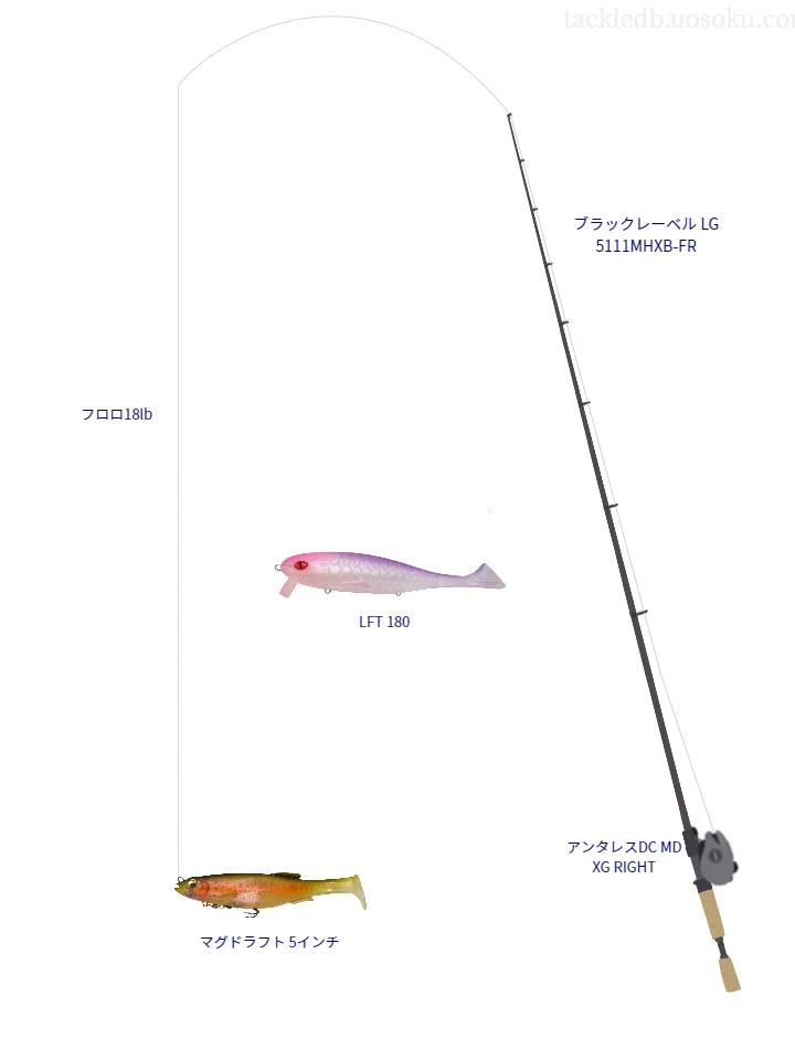 バス釣りに関するタックル、仕掛け図解