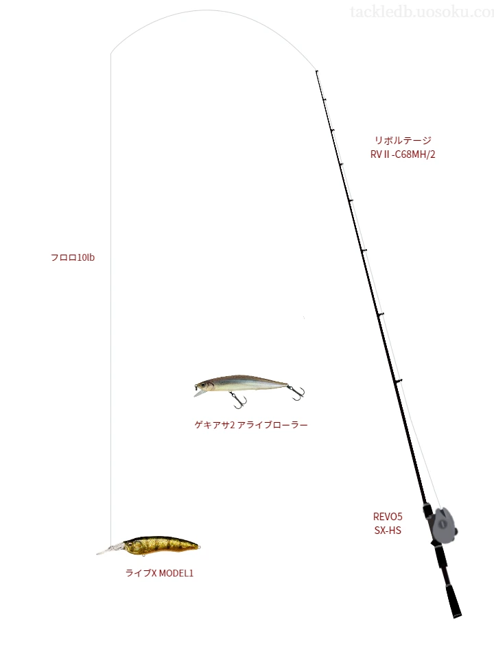 バス釣りに関するタックル、仕掛け図解