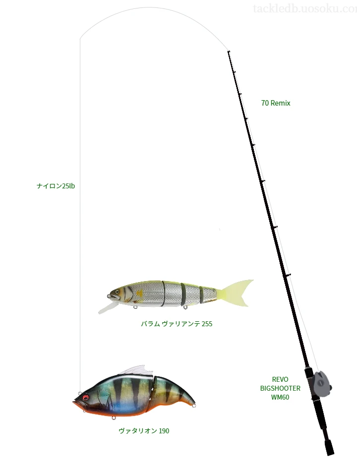 【松尾川ダム】ヴァタリオン 190を活かすバス釣りタックル【仮想インプレ】