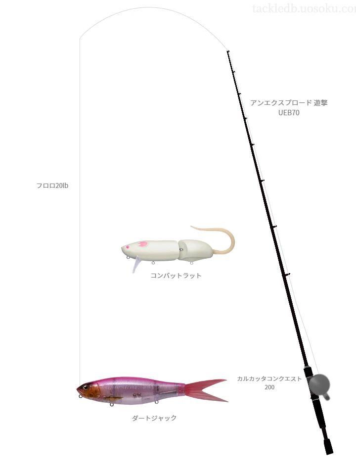 バス釣りに関するタックル、仕掛け図解