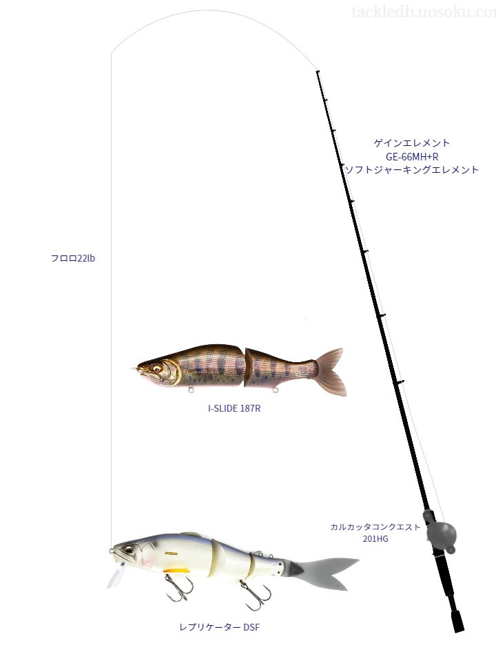 ゲインエレメント GEとカルカッタコンクエスト 201HG,レプリケーター DSFによるバス釣りタックル【仮想インプレ】