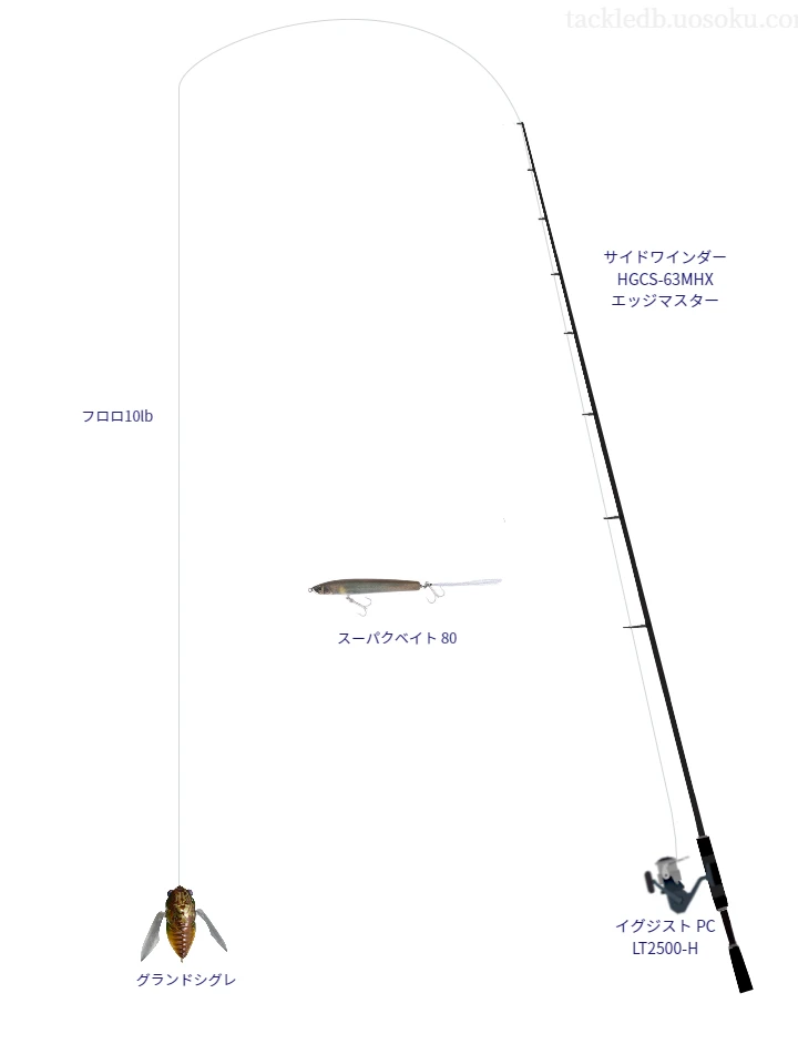 バス釣りに関するタックル、仕掛け図解